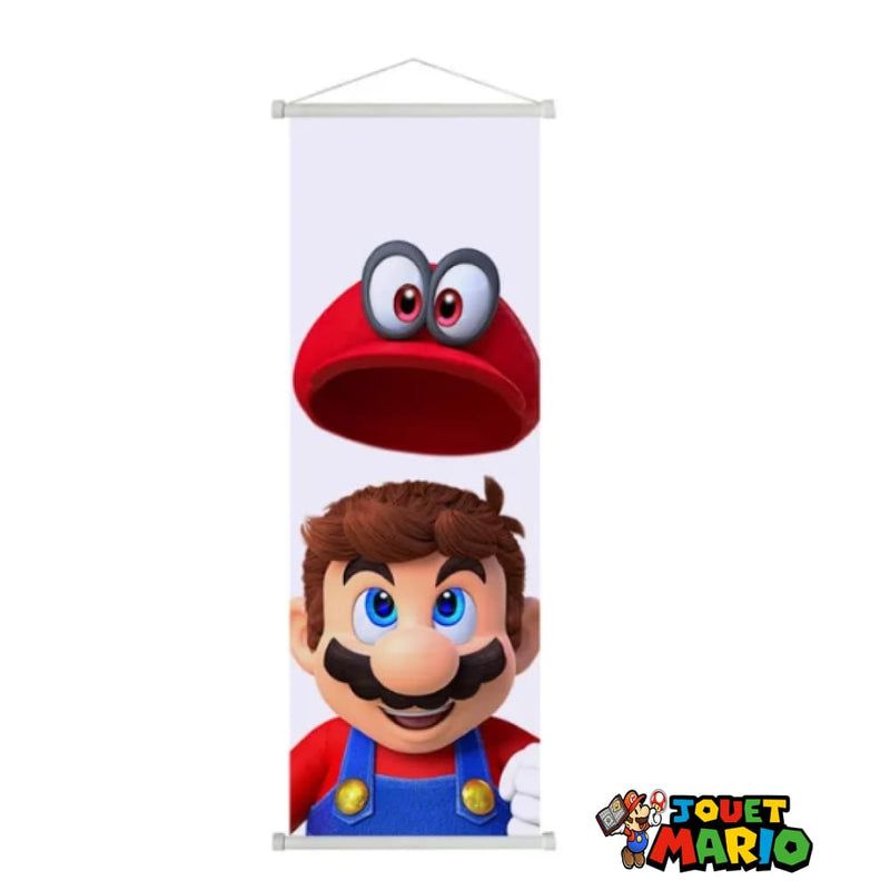 Mario Odyssey Les Tableaux