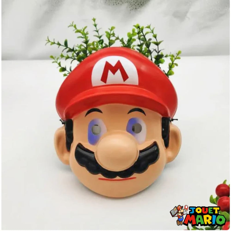 Masque Mario Et Luigi