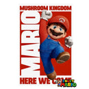 Tableau Art Mural Mario