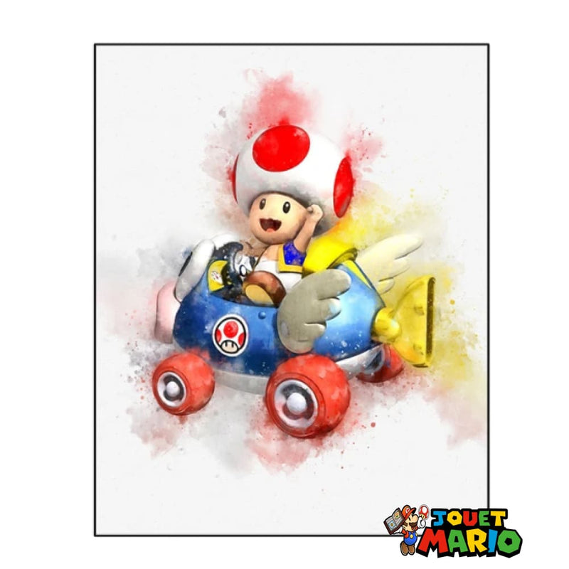 Tableau Metal Mario Kart 7